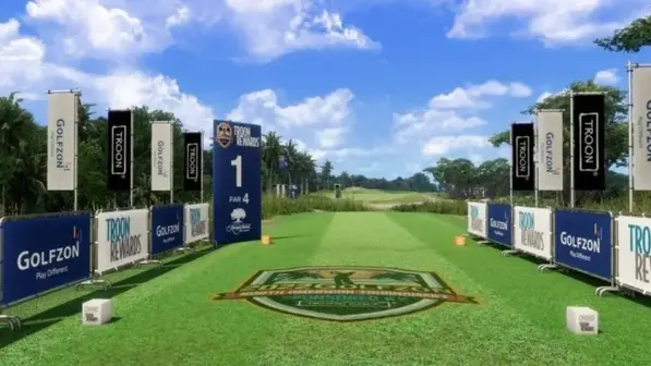 Professional golf simulators