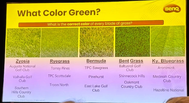 BenQ AK900 golf simulator projector color demo showing five turf swatches from five famous courses